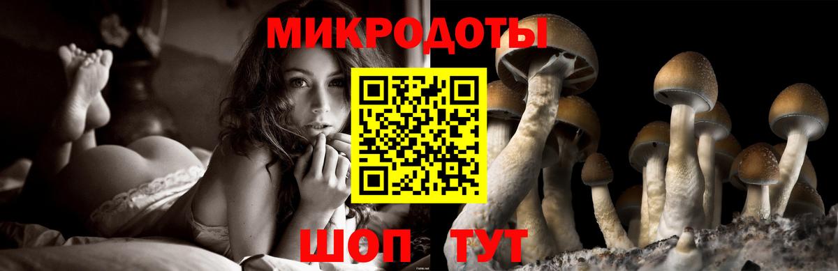 Галлюциногенные грибы GOLDEN TEACHER Светлоград